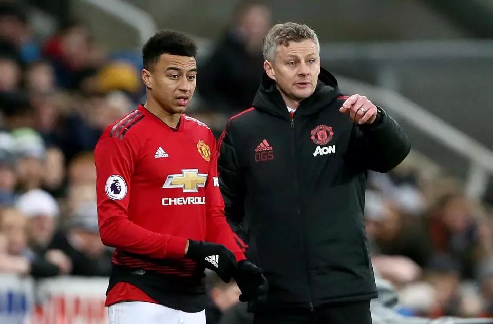 的猜测无疑 的猜测无疑